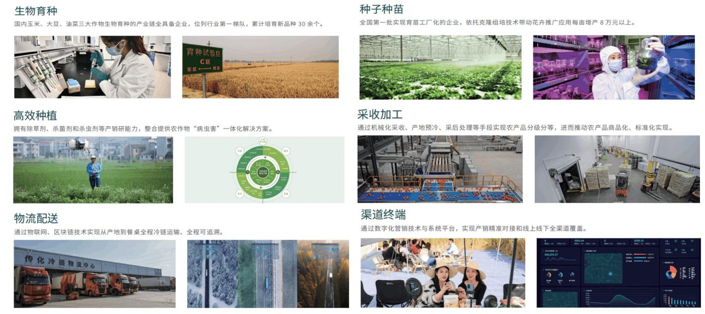 從研發培育到生產銷售終端全流程標準化打造 