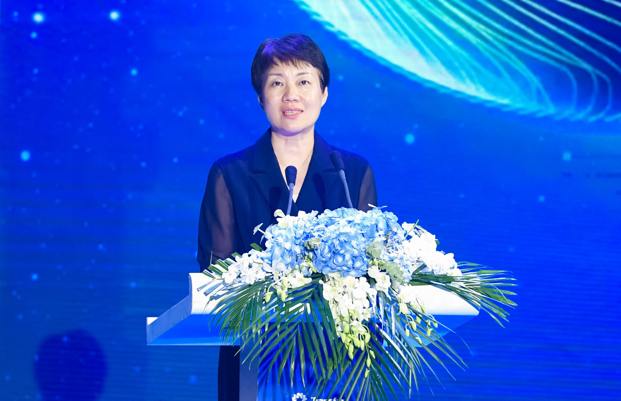 杭州市委副書記、蕭山區委書記 佟桂莉.jpg