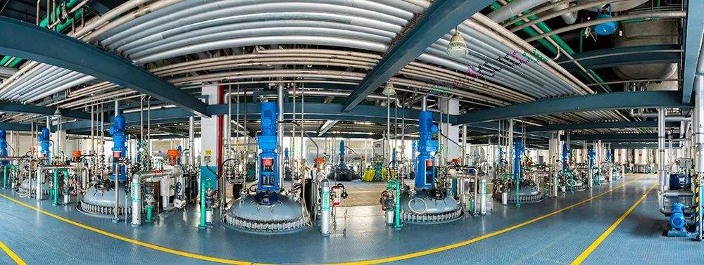 1650377225621193JJuu.jpg 5.jpg