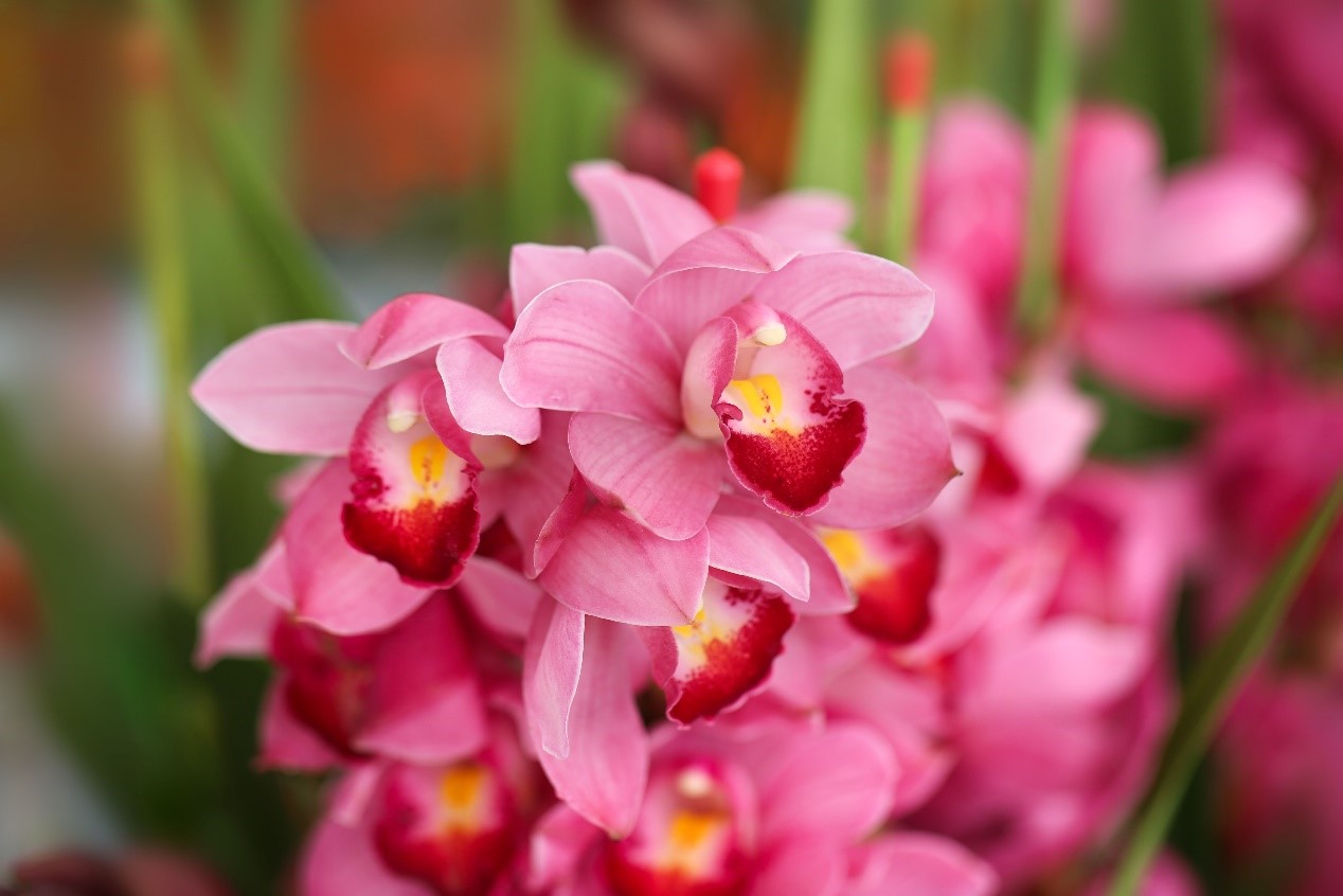 1705304161295139WkjC.jpg 12.jpg