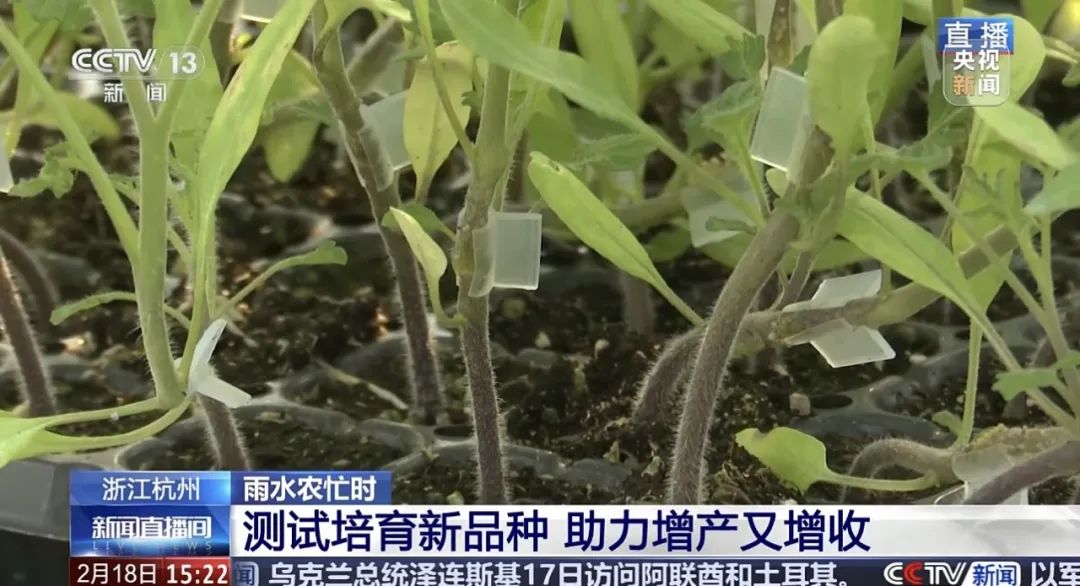 1739945261411727AUnw.jpeg 640 (4).jpeg