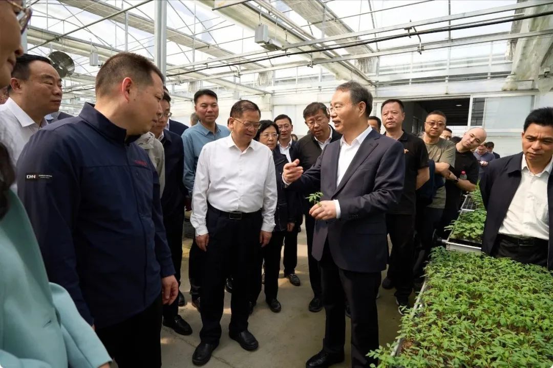 17433822264047895ZJ5.jpeg 38160218e4fc38a20f79549933bb5e8a.jpeg