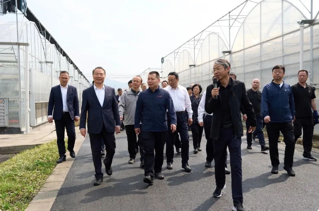 1743382269452008CbNG.jpeg 640.jpeg