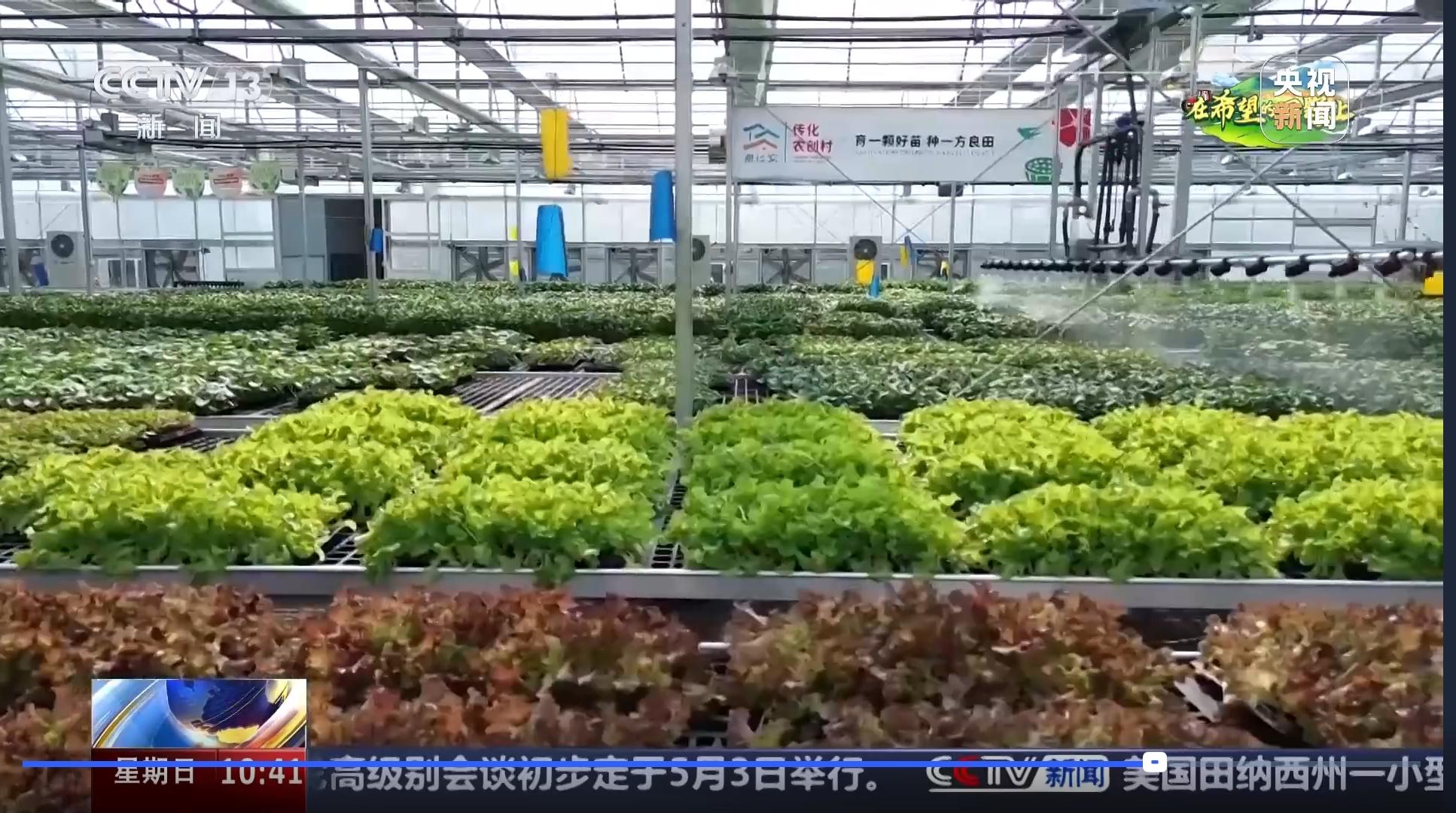 1745739669786663X8aX.jpg 數字種苗工廠.jpg