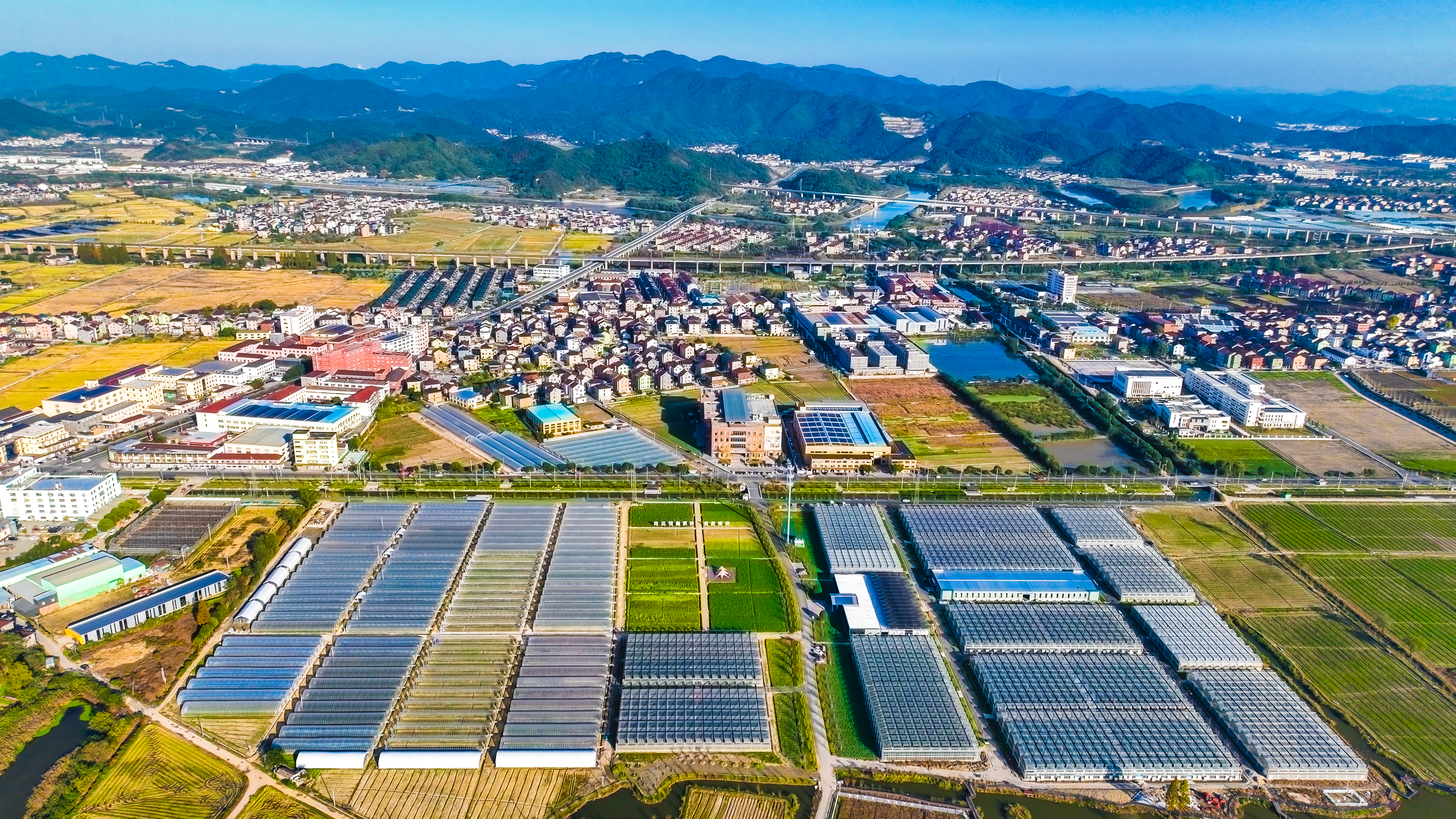 1768372034337954w2Ik.jpg bcd96b77786aef21bf9a7819223db703.jpg